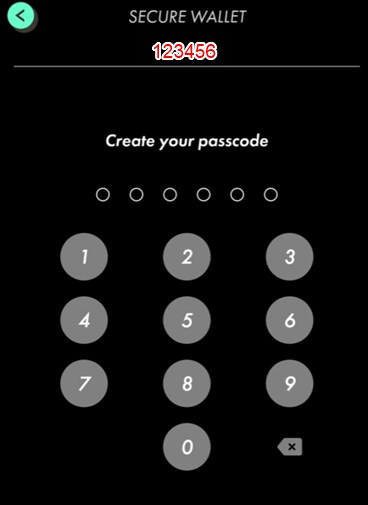STEPNアプリのパスワードを入力