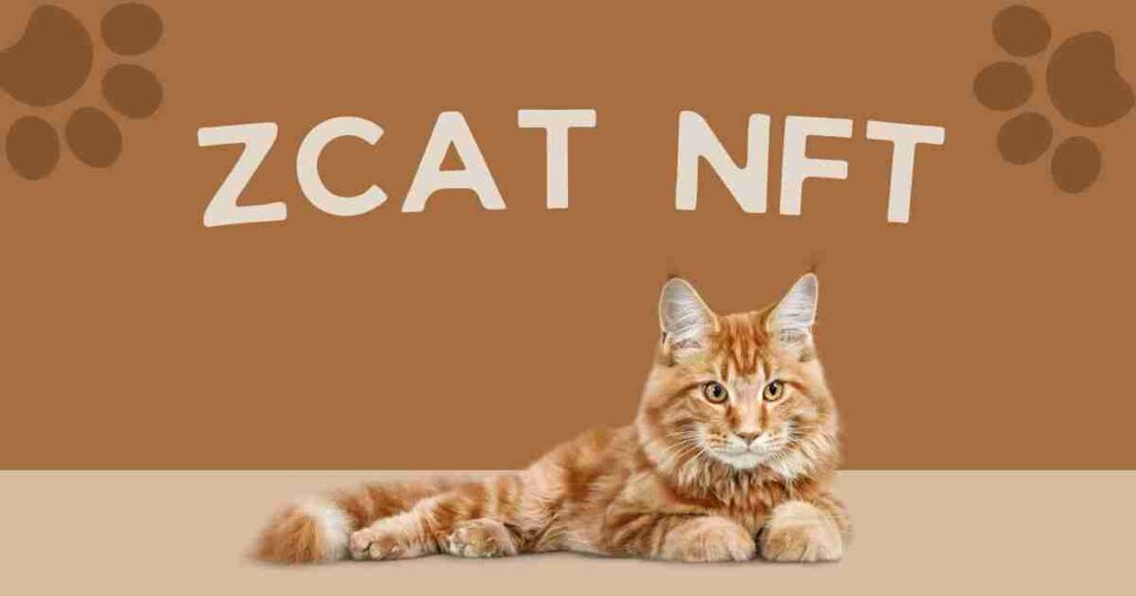 zcatNFTとは保護猫活動を支援するプロジェクト